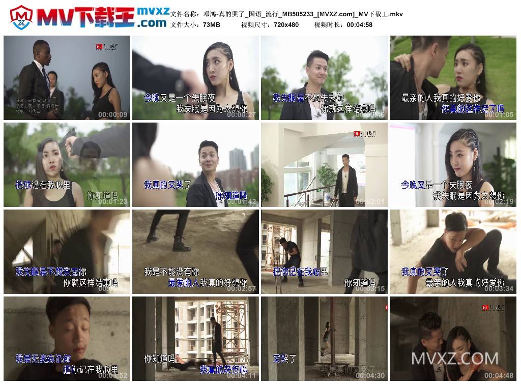 邓鸿-真的哭了_国语_流行_MB505233